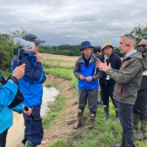 Picture of people being filmed in a field.
