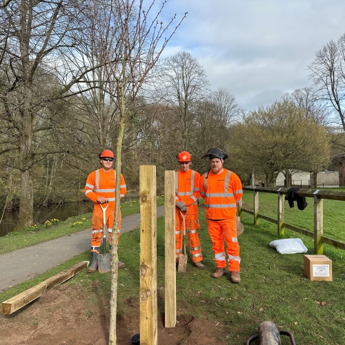 Three people planting a tree