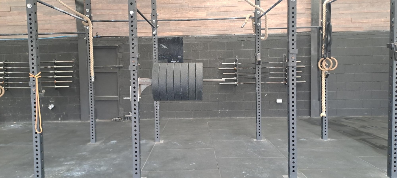 piece of gym equipment with horizontal bars and weight plates