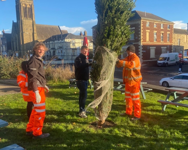 Three men, two in orange hi vis putting a Christmas tree up outside