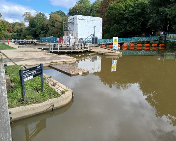 Picture of a cabin next to a pond.