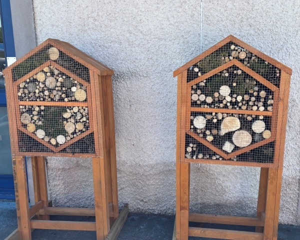 Two bug houses made of wood with logs and twigs inside