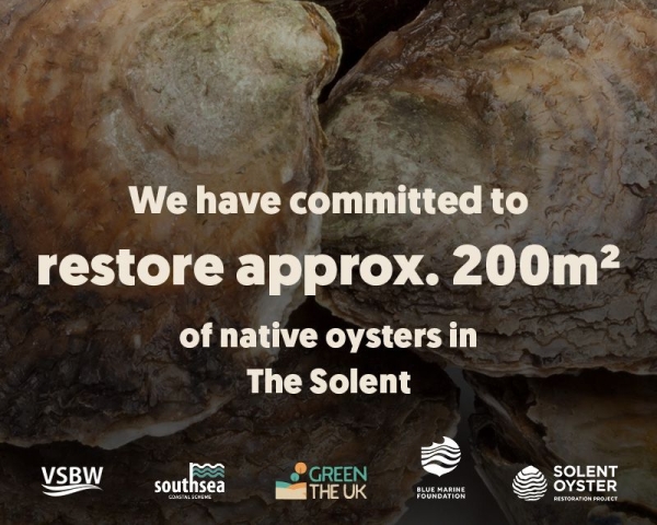 Southsea oysters.jpg