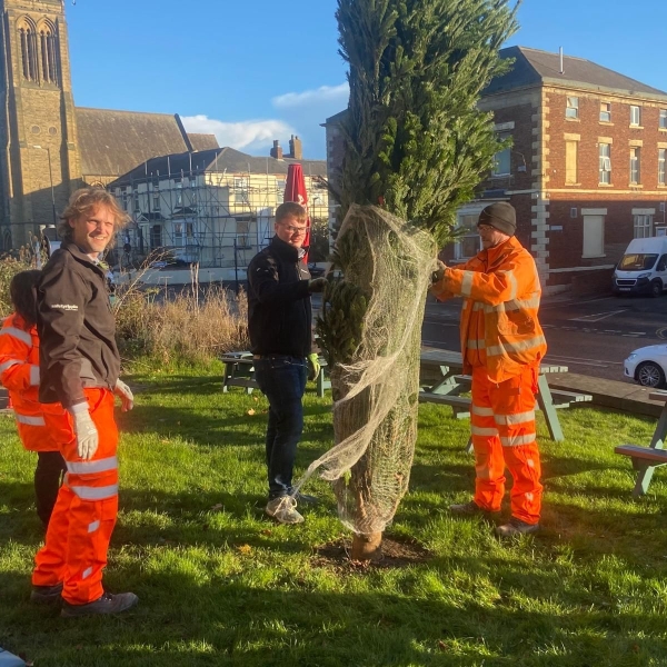 Three men, two in orange hi vis putting a Christmas tree up outside