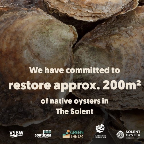 Southsea oysters.jpg