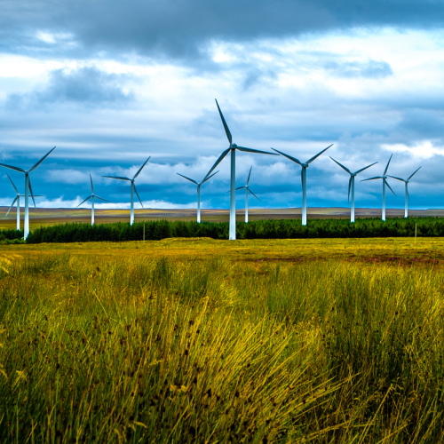 wind turbines in a field on a dark cloudy day