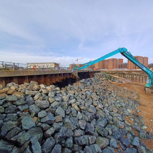 A crane on a beach.