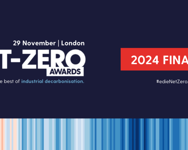 edie awards logo.