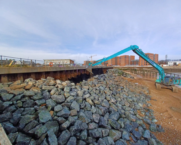 A crane on a beach.