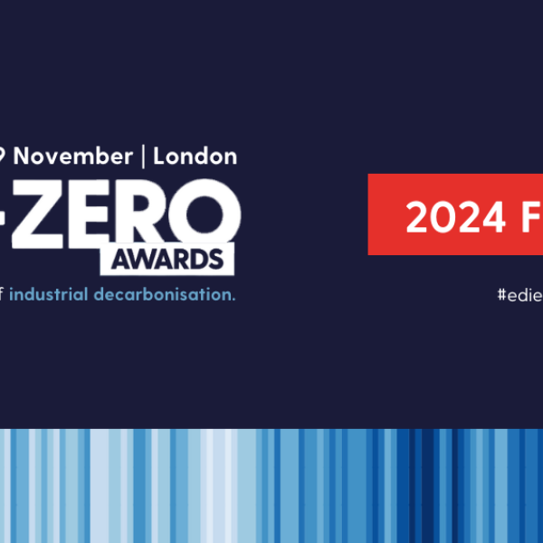 edie awards logo.